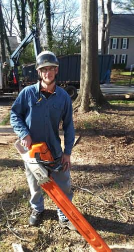 Completed tree removal project